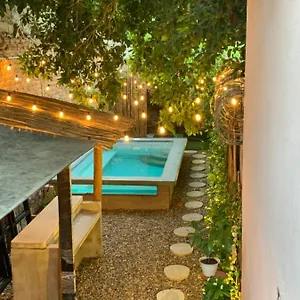 Auberge de jeunesse Boutique Musa Paradisiaca